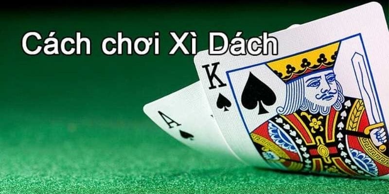 Quản lý vốn & nhịp cược kín đáo