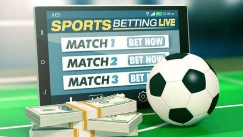 Giải Đáp Khi Nào Nên Nhồi Rung Để Bắt Kèo Chuẩn Nhất