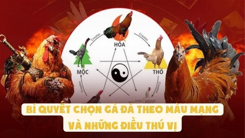 Bí Quyết Chọn Gà Đá Theo Màu Mạng Và Những Điều Thú Vị